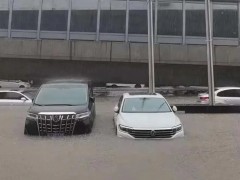 想買一輛泡水車，但又不懂？