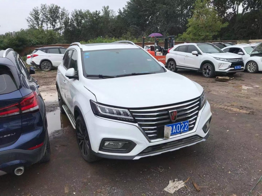 19年榮威RX5泡水車