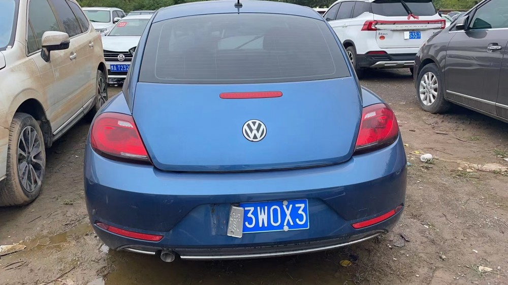 19年大眾甲殼蟲泡水車