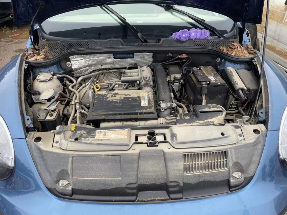 19年大眾甲殼蟲