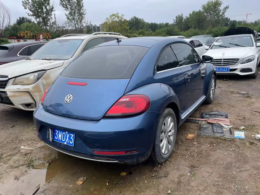 19年大眾甲殼蟲