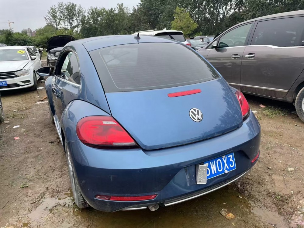 19年大眾甲殼蟲