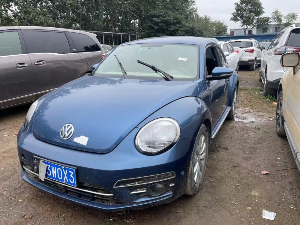 19年大眾甲殼蟲