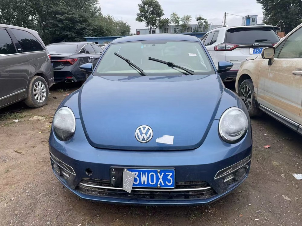 19年大眾甲殼蟲