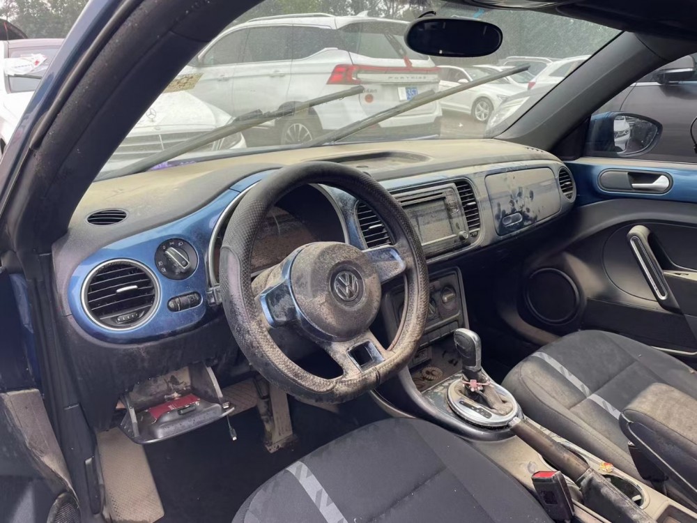 19年大眾甲殼蟲