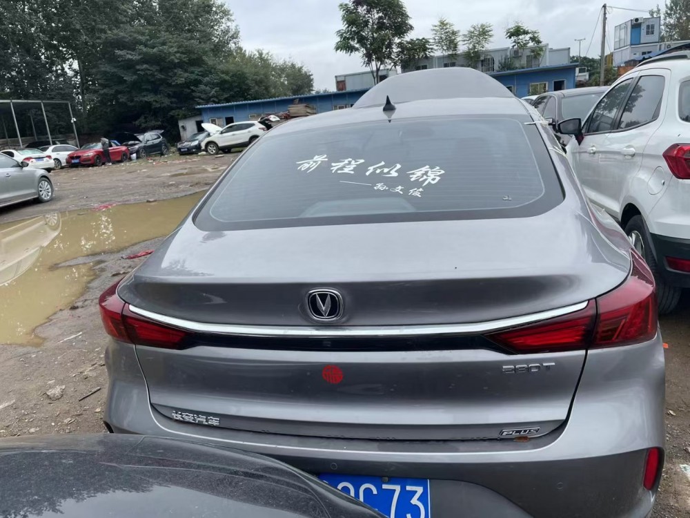 20年長安逸動泡水車