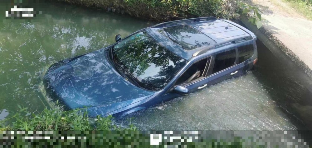 11年斯巴魯森林人