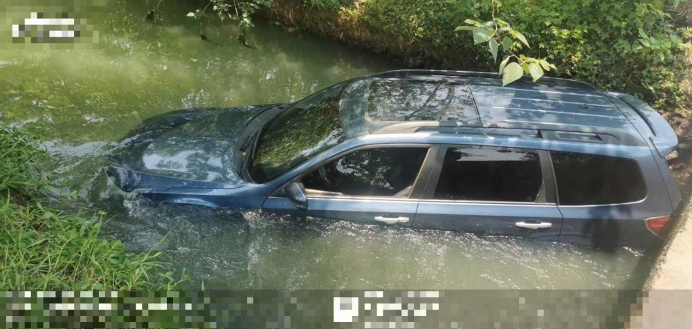 11年斯巴魯森林人