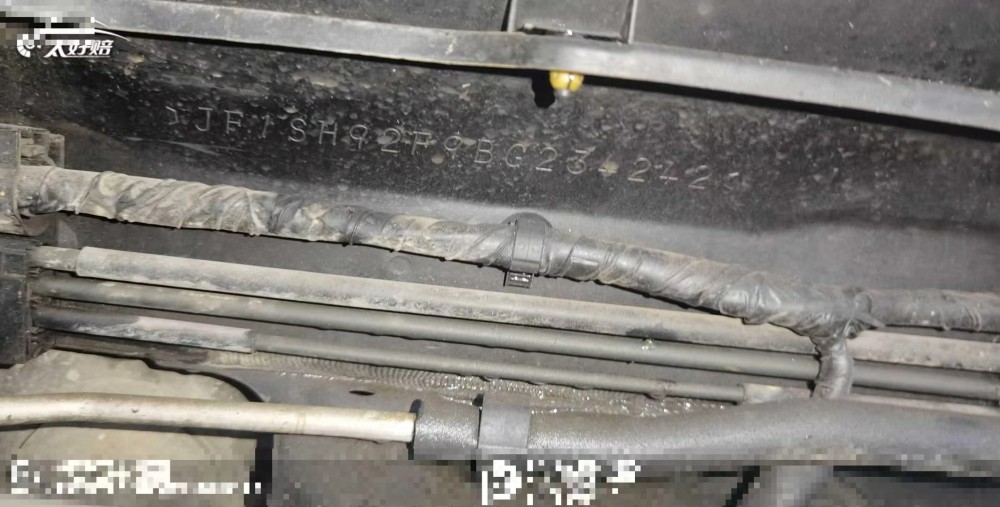 11年斯巴魯森林人