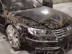 泡水車能再次買涉水險嗎（沒有買涉水險車被泡了保險賠嗎）