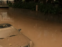 泡水車是如何分類的（泡水車分為幾個等級）