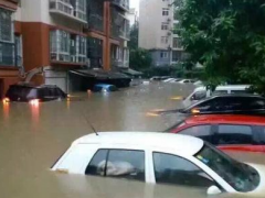 為什么很多人喜歡買泡水車(泡水車有什么優(yōu)勢)