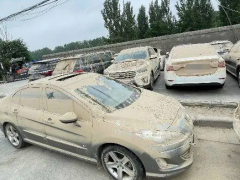 二手車有霉味一定是泡水車嗎（泡水車一定會(huì)有霉味嗎）