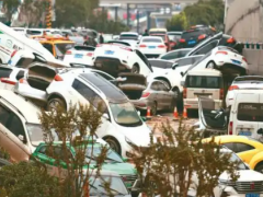 為什么有人說泡水車不能要（購買泡水車的理由有哪些）