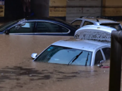 在哪些地方有泡水車出售（在哪里可以找到大量泡水車的車源）