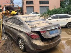 未處理泡水車可以出售嗎（哪里有未處理的泡水車出售）