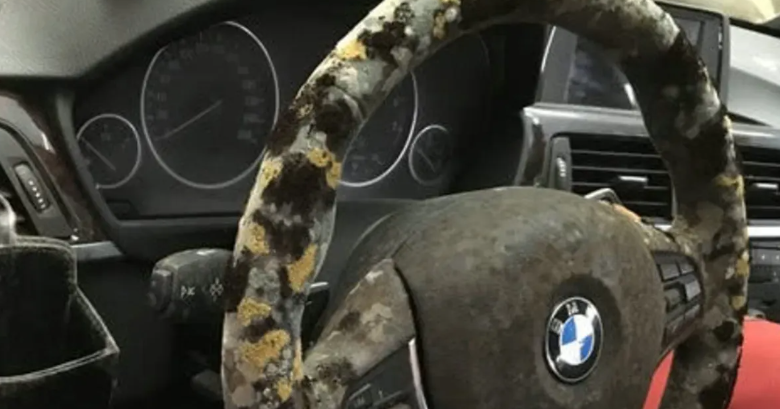 泡水車值得購買嗎