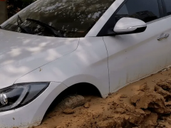 低價購買泡水車劃算嗎（幾萬塊錢買輛高檔泡水車可以嗎）