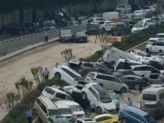 再這樣的平臺買泡水車可以放心嗎（泡水車平臺如何選擇）