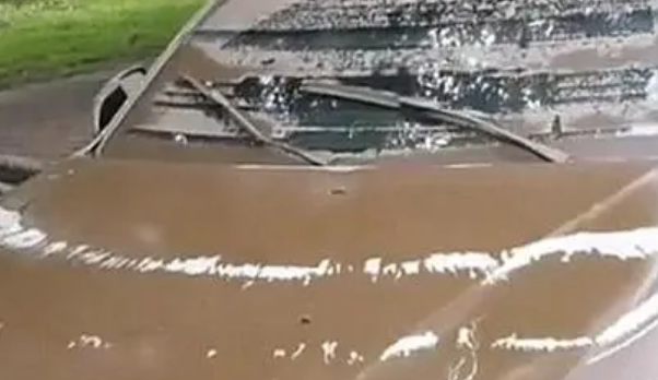 在哪里可以買到泡水車