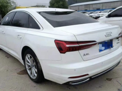 燃油車和新能源汽車有哪些差距，新能源汽車哪些人更愛