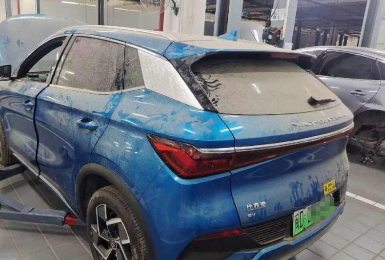 純電動車選擇率有多少