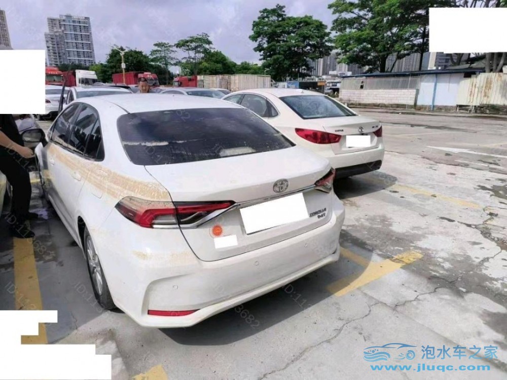 19年豐田卡羅拉