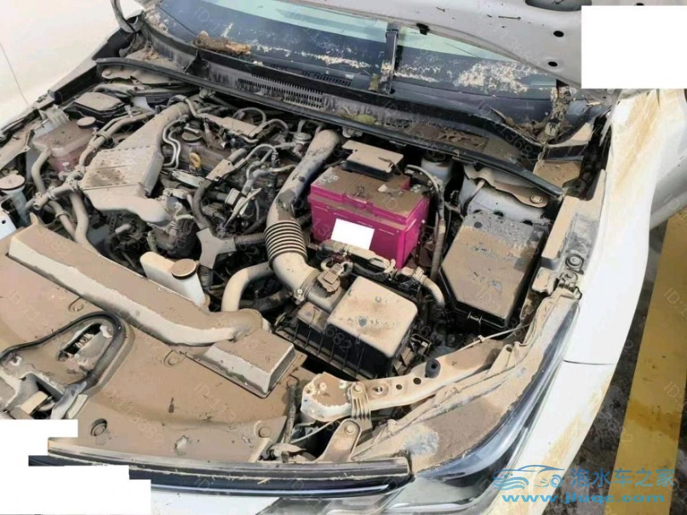 19年豐田卡羅拉