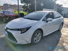 怎么樣辨別泡水車