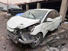 普通家庭選車(chē)難題：油車(chē)還是電車(chē)？