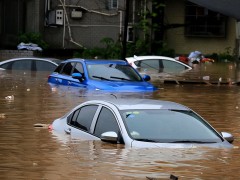 哪里有賣泡水車的？泡水車便宜出售！