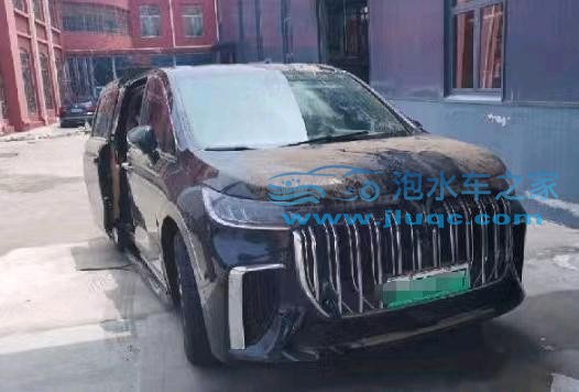 24年嵐圖夢(mèng)想家泡水車