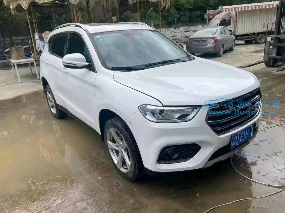 20年長(zhǎng)城哈弗H2