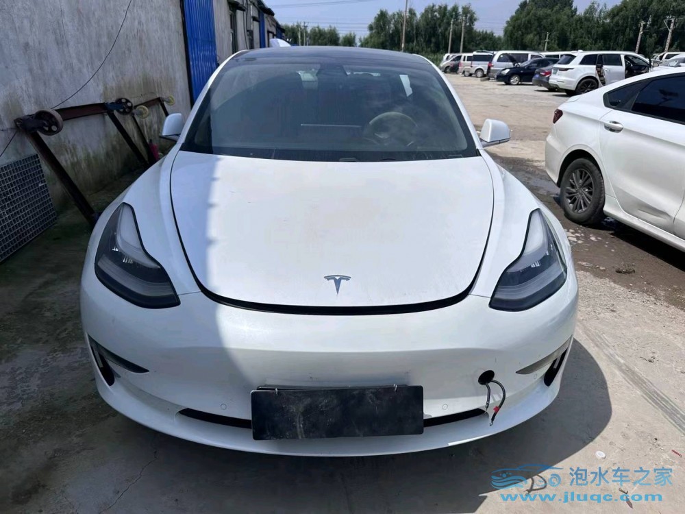 19年特斯拉MODEL 3泡水車