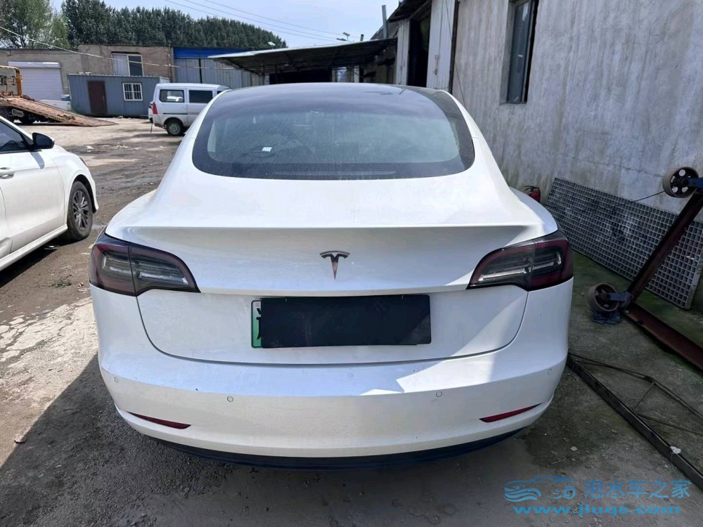 19年特斯拉MODEL 3