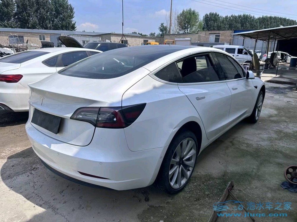19年特斯拉MODEL 3