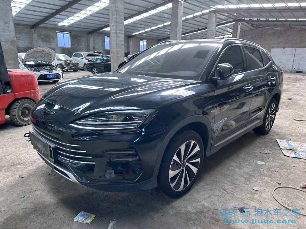 24年比亞迪宋新能源