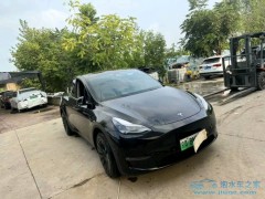 泡水車的獨(dú)特視角：重生之美與機(jī)遇的交響、逆境中的瑰寶