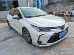 2024年8月24日最新汽車資訊