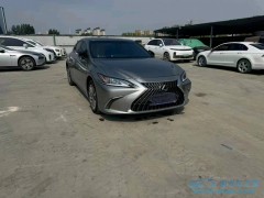 大連新一批泡水車達到市場，潑水車價格波動