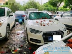 2024年9月4日最新汽車資訊