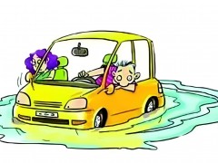 泡水車是要買舊車還是近期車？給出一個建議