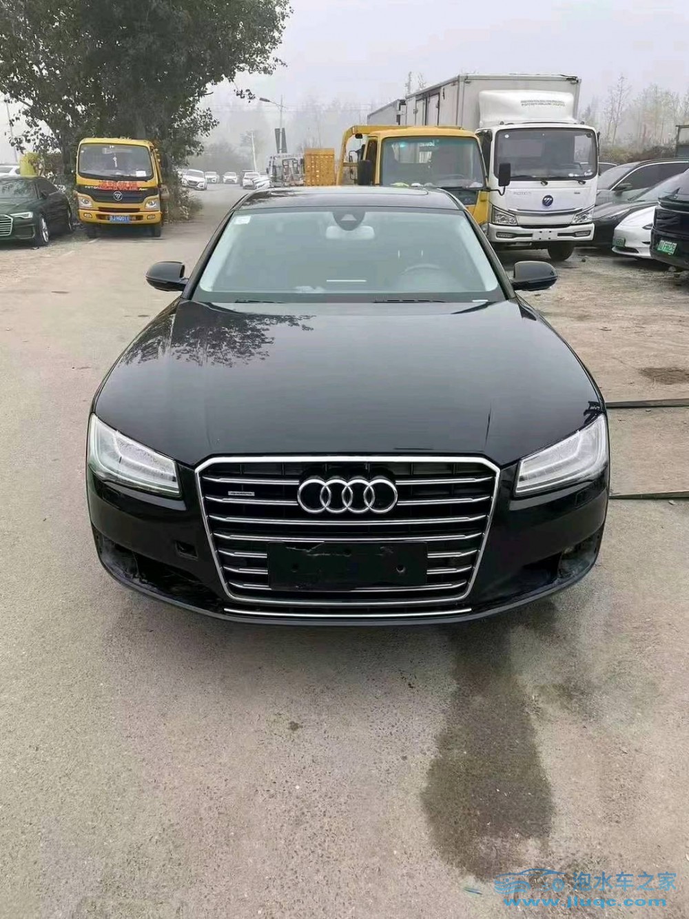 如何挑選高性價(jià)比的泡水車品牌？專業(yè)分析與建議