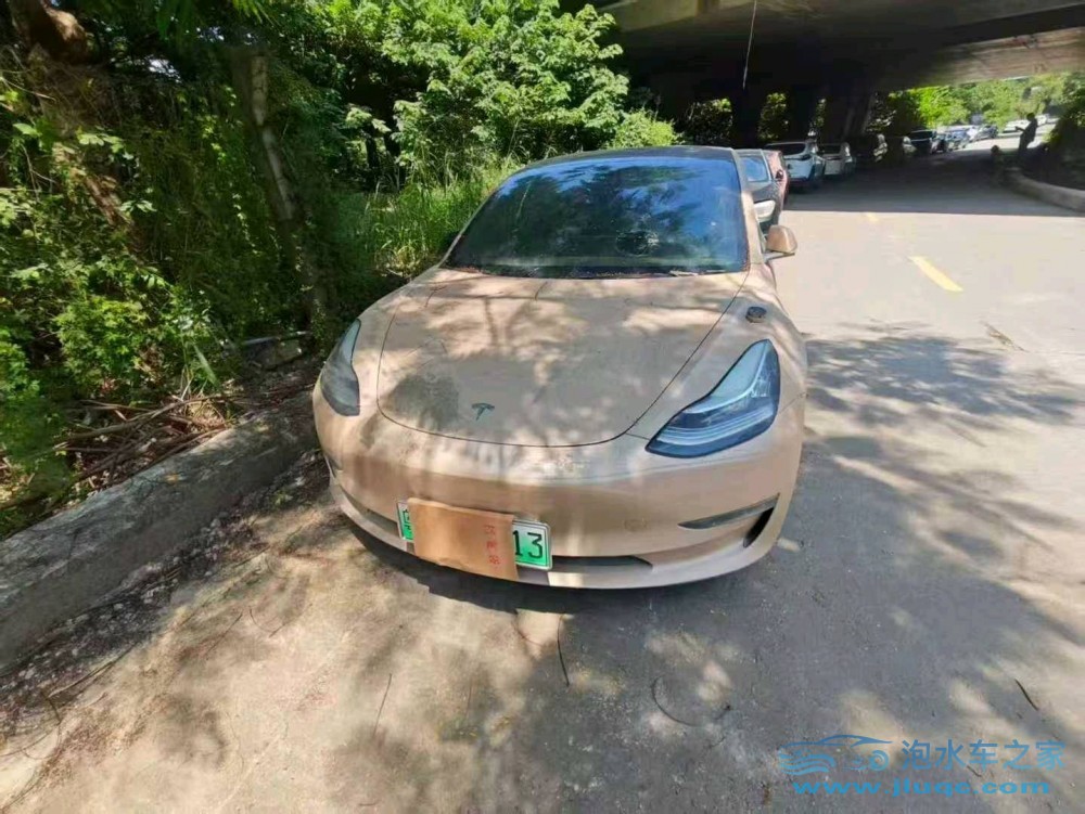 19年特斯拉MODEL 3泡水車