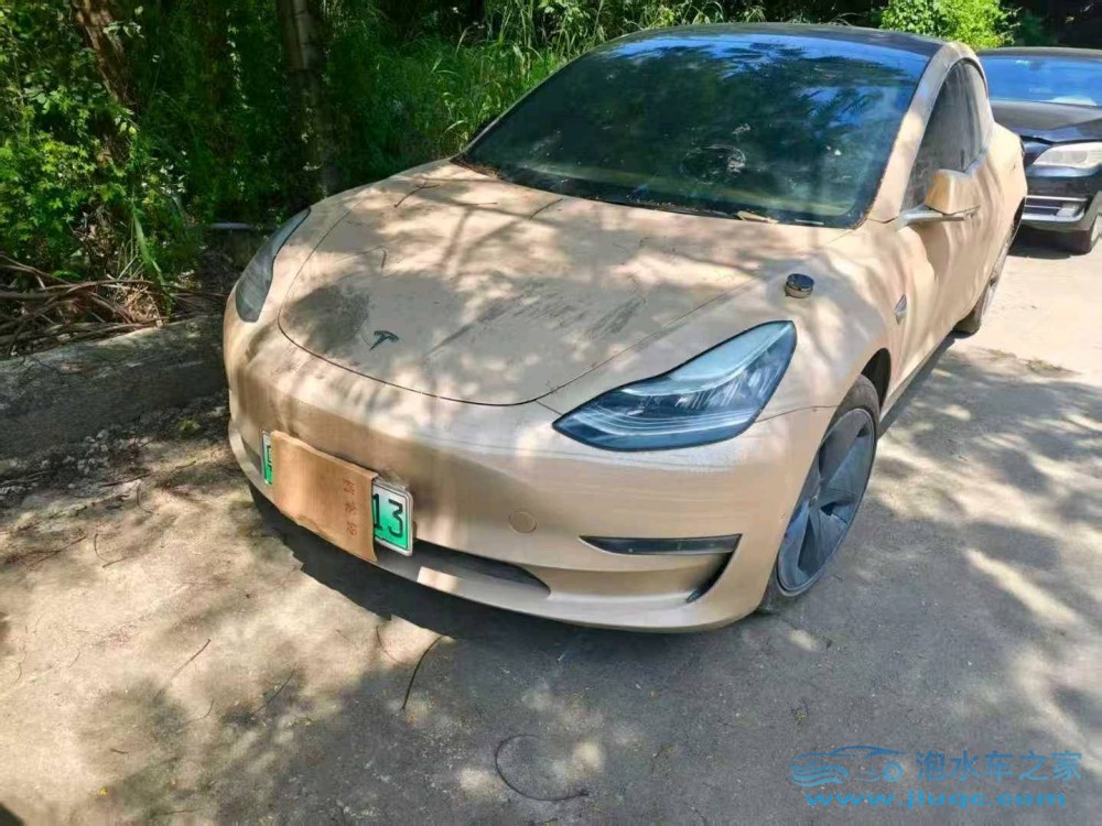 19年特斯拉MODEL 3