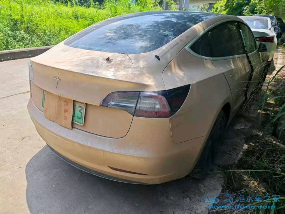 19年特斯拉MODEL 3