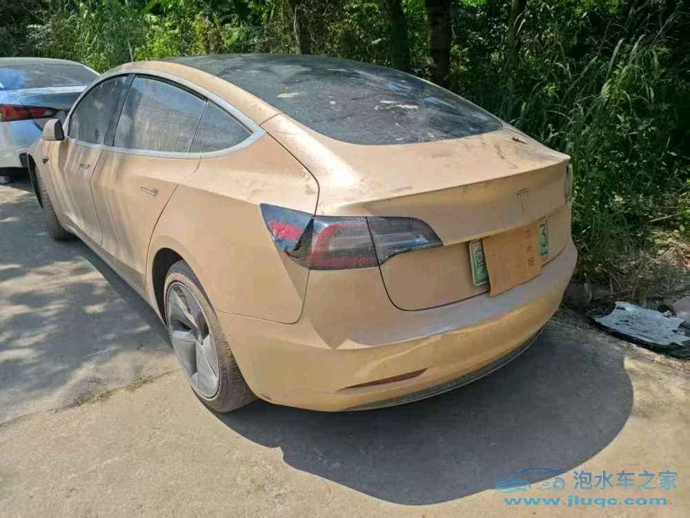 19年特斯拉MODEL 3