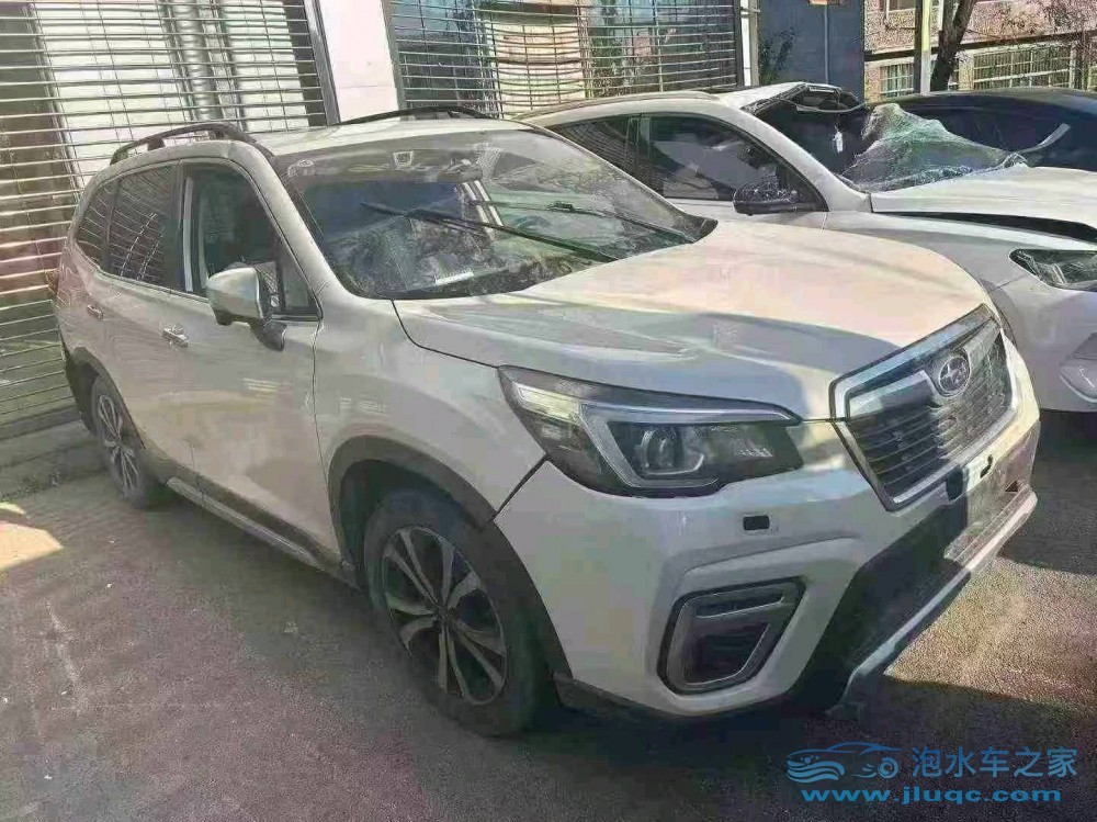 22年斯巴魯森林人